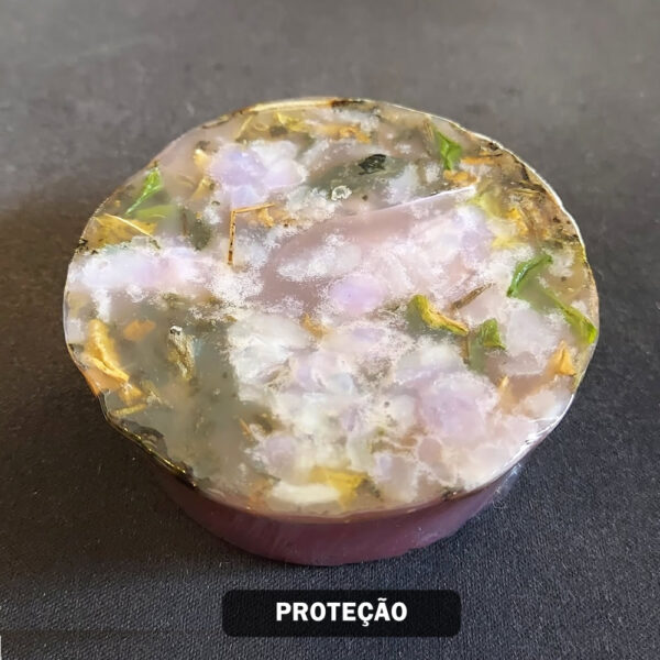 proteção