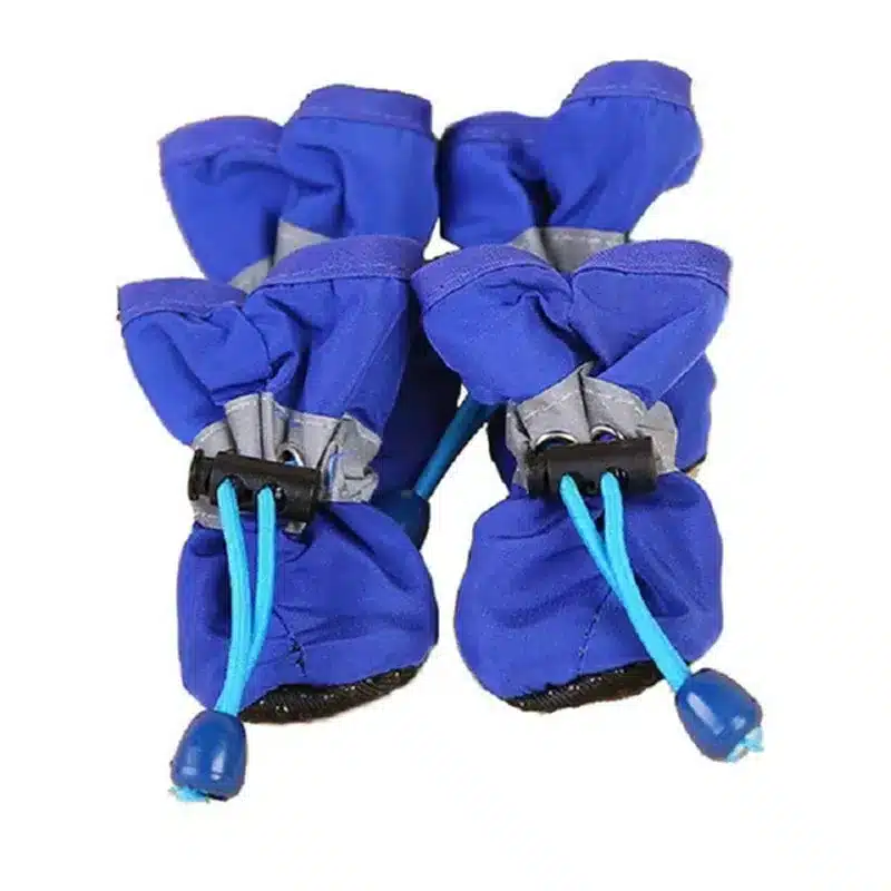 Sb0ea43c197cd40d1a7b2484021b2295ch.webp Botinhas antiderrapantes impermeáveis para cães e gatos pequenos 4 peças - Imagem 9